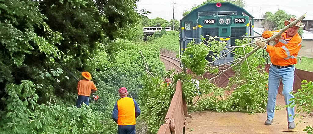 Six wagonloads of branches and undergrowth were cleared and disposed of. Six wagonloads of branches and undergrowth were cleared and disposed of.